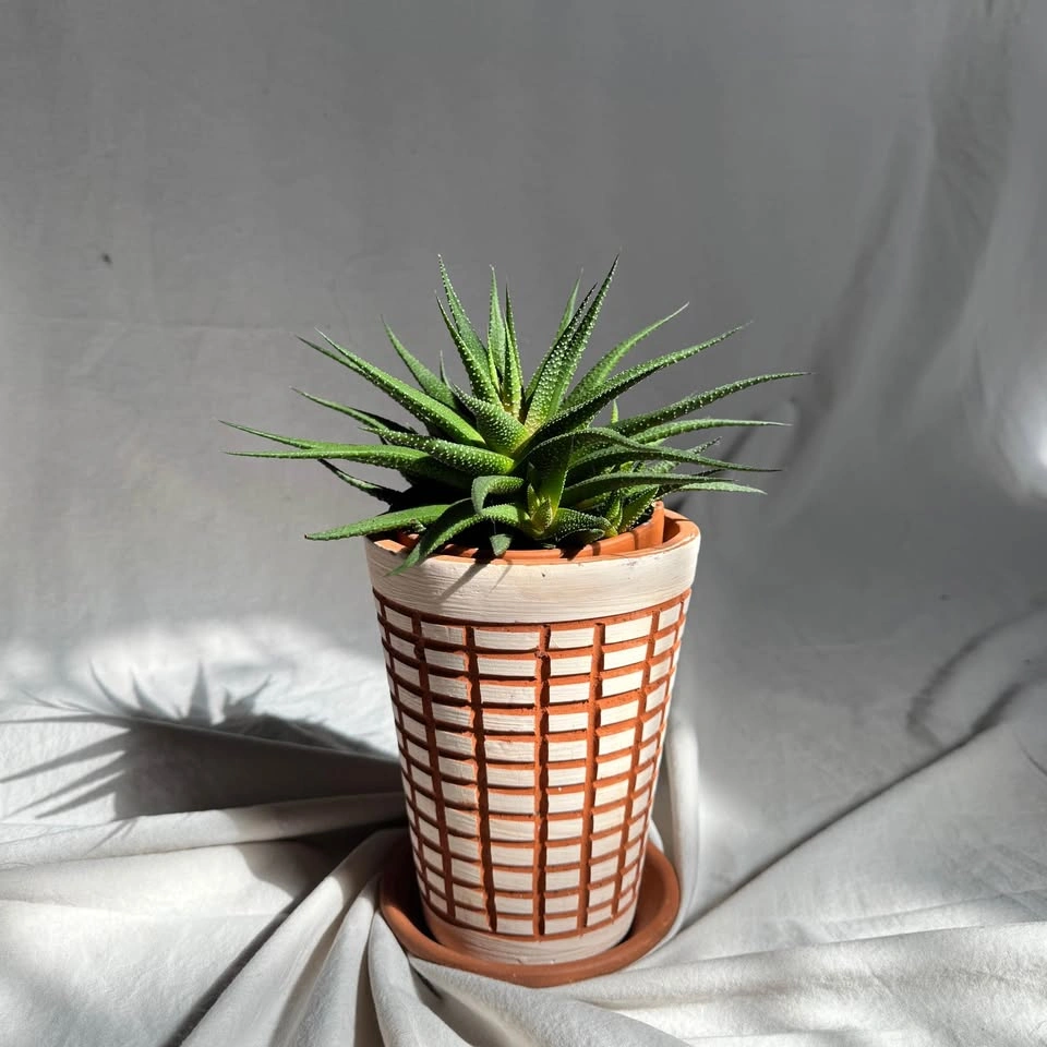 Vaserie Trevigiane Terracotta Planter - Made in Italy