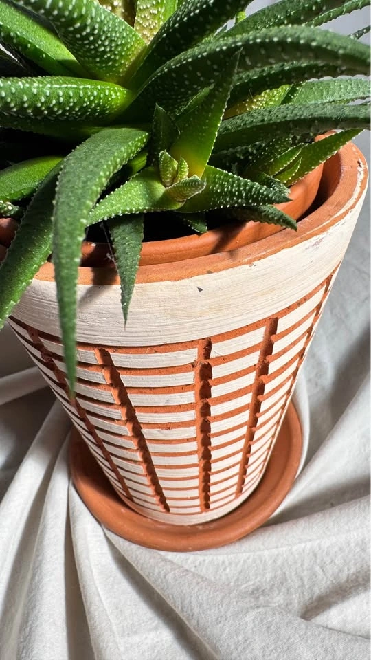 Vaserie Trevigiane Terracotta Planter - Made in Italy - photo 2