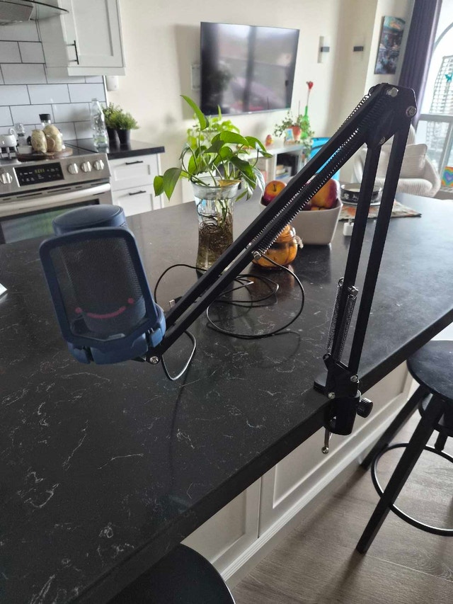 Fifine Microphone & Mic Arm