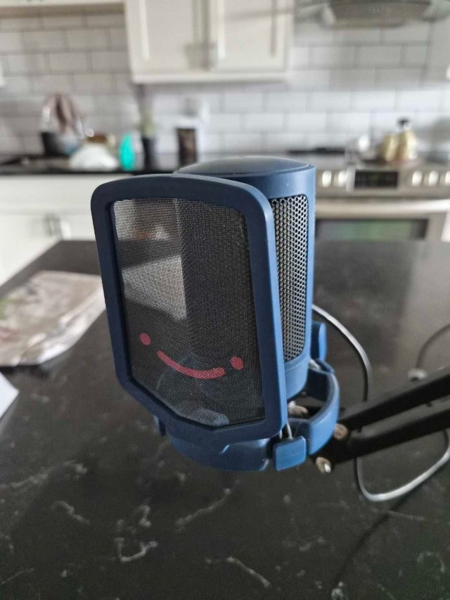 Fifine Microphone & Mic Arm - photo 3