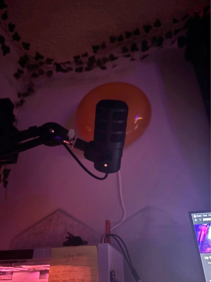 Rode Pod Mic