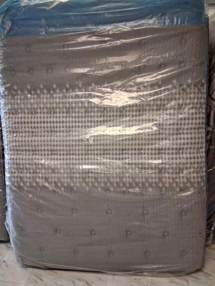 Queen Sealy 10" Foam Mattress