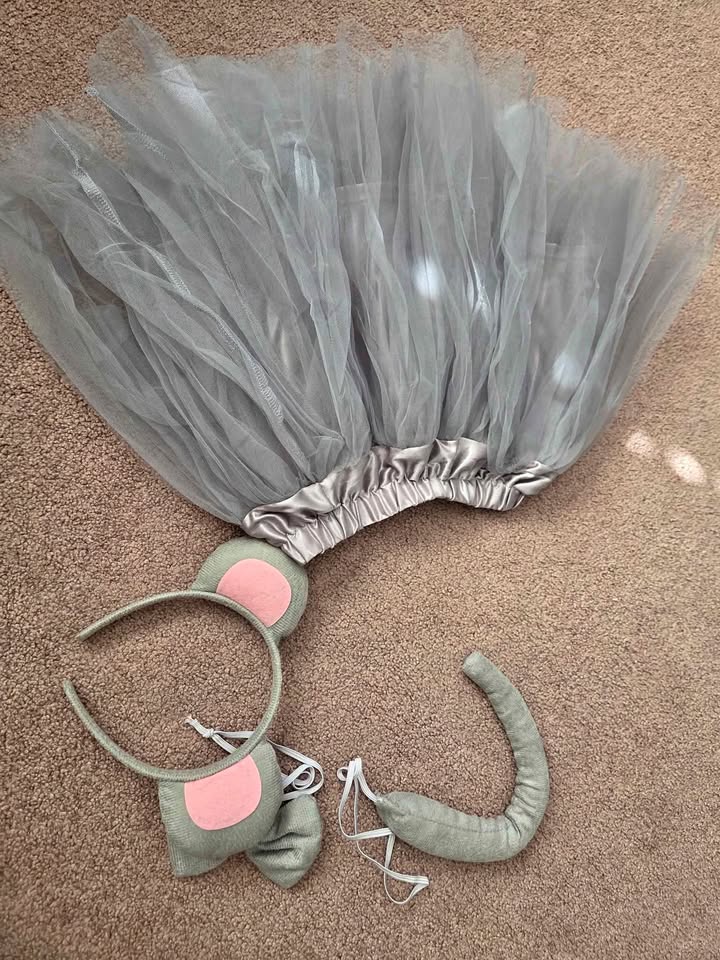Mouse costume for kids’ parties and performances
