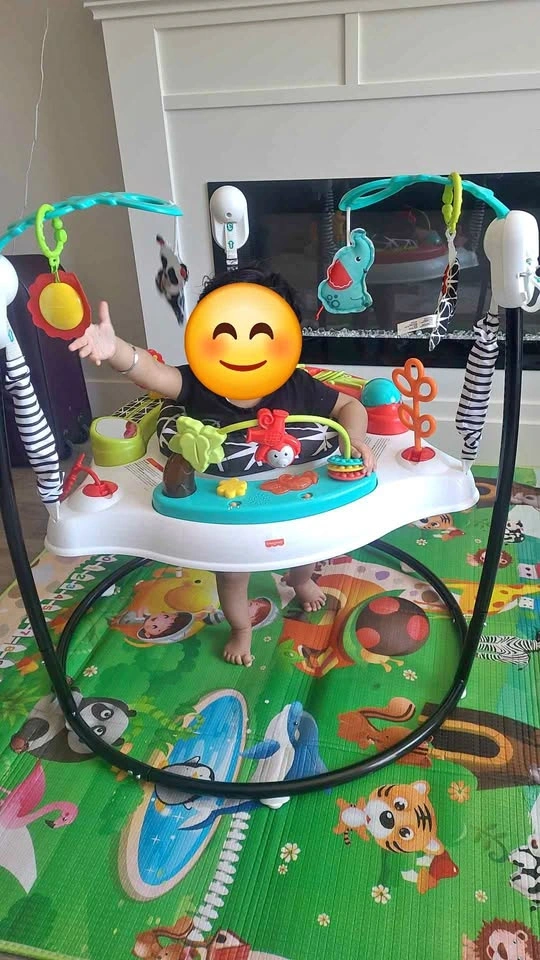 Fisher-Price Jumperoo Baby Activity Center