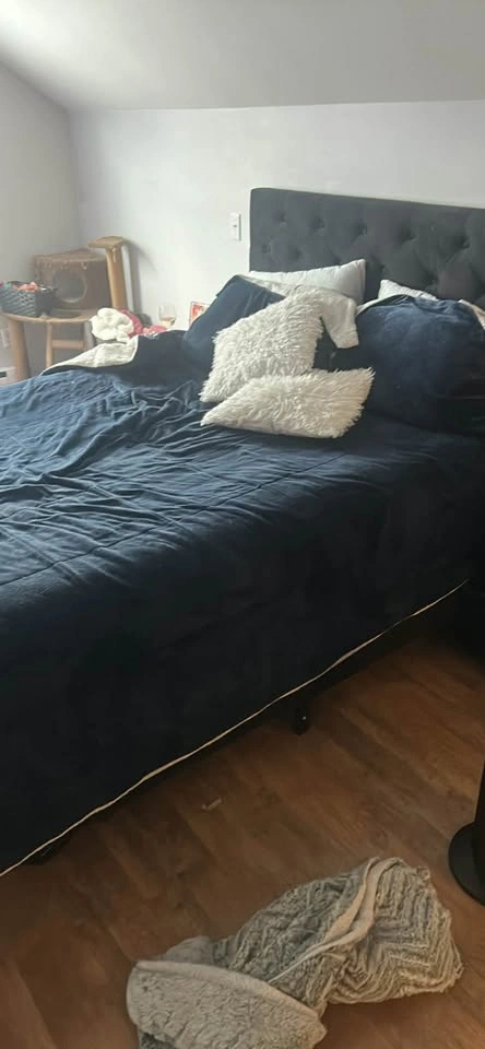 Need gone asap - photo 3