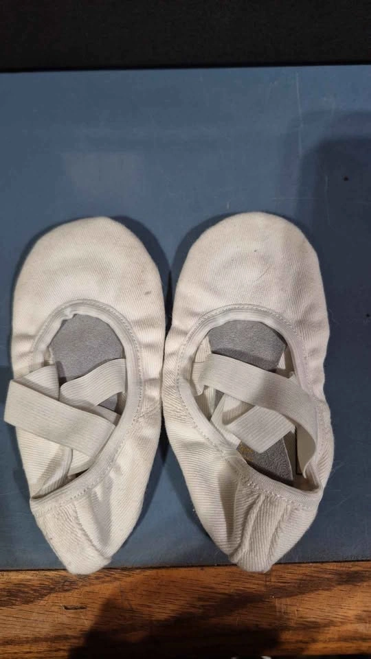 Ballet- dance white shows - photo 2