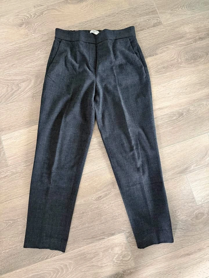 Aritzia Babaton Conan Pants