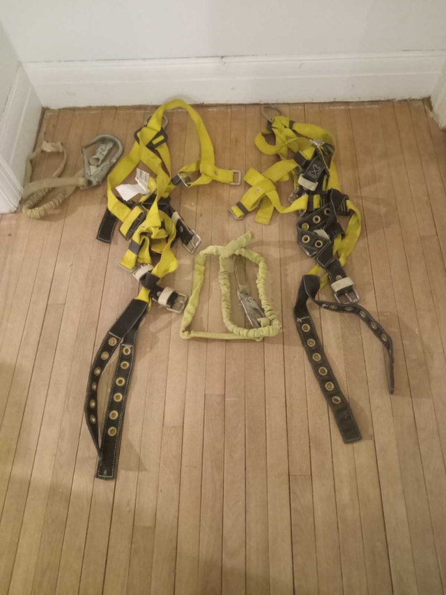 2-5 Point Harnesses with Lanyards