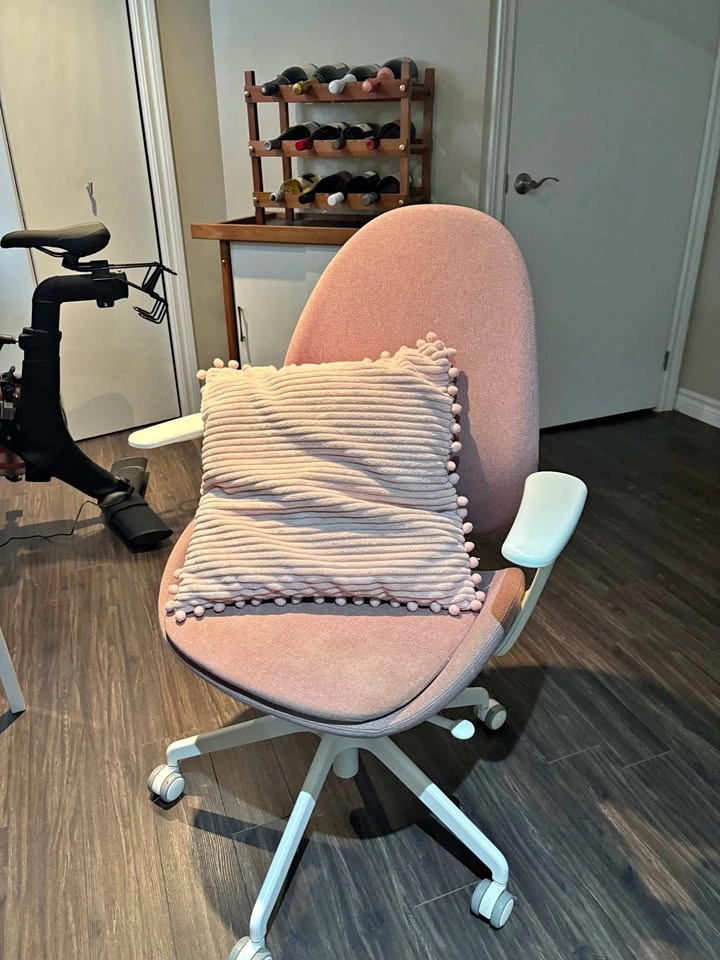 Office Chair & Pillow