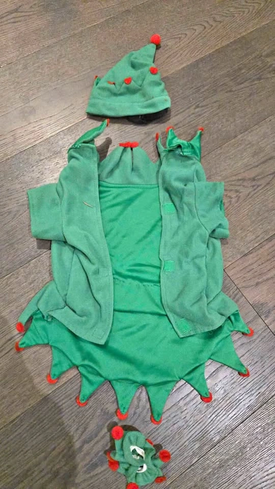 small dog elf suit