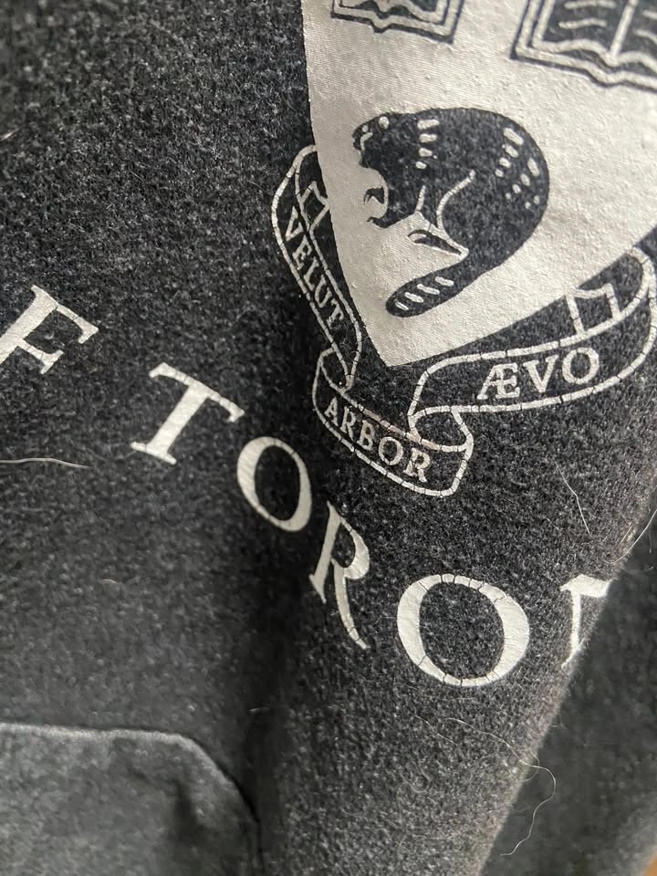 UofT Hoodie - Size Small/Medium - photo 2