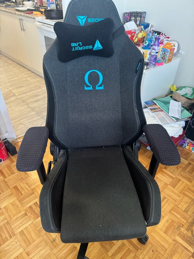 Secretlab Omega Chair
