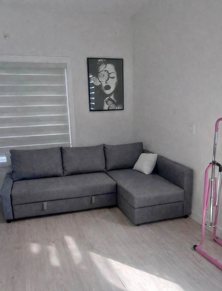 IKEA FRIHETEN Sectional Sofa Bed (Dark Grey)