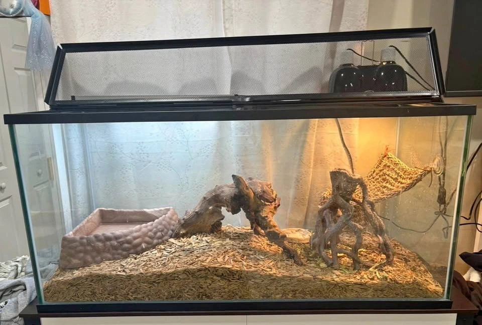 75 Gallon Aquarium Reptile Enclosure Fish Tank