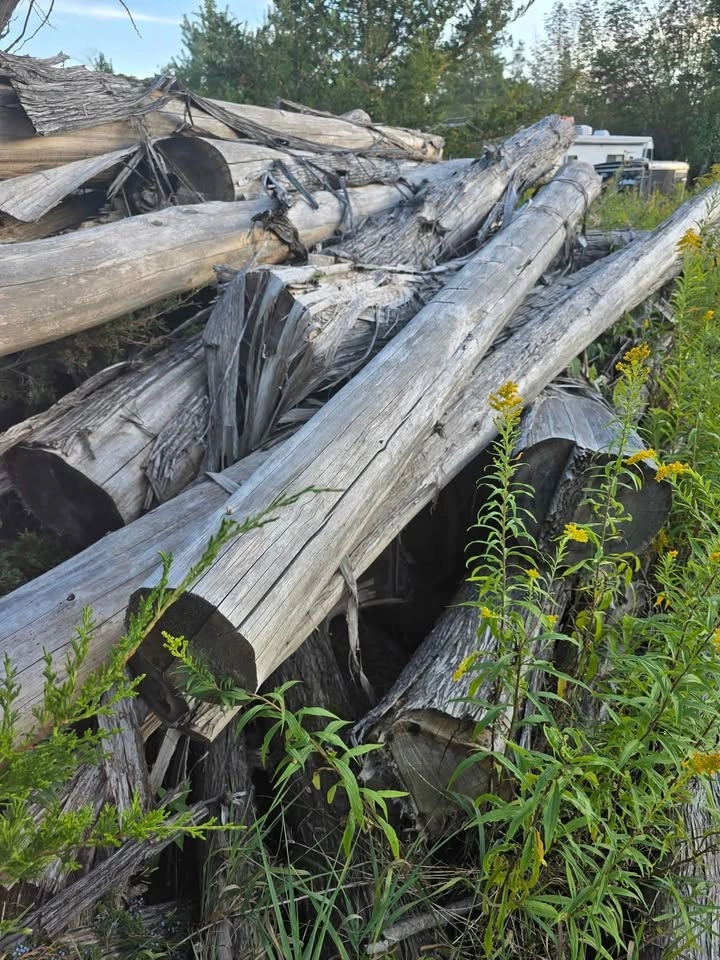 Cedar logs - photo 2