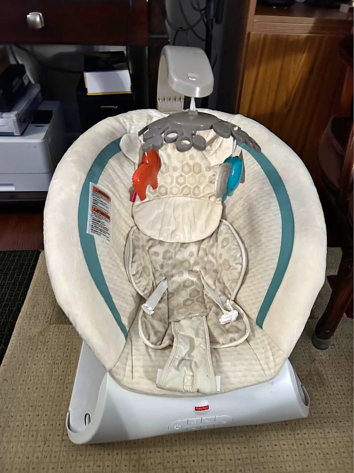 Baby Bouncer