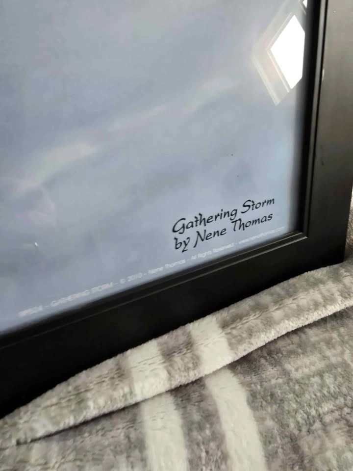 Nene Thomas Gathering Storm Framed Art Print - photo 2