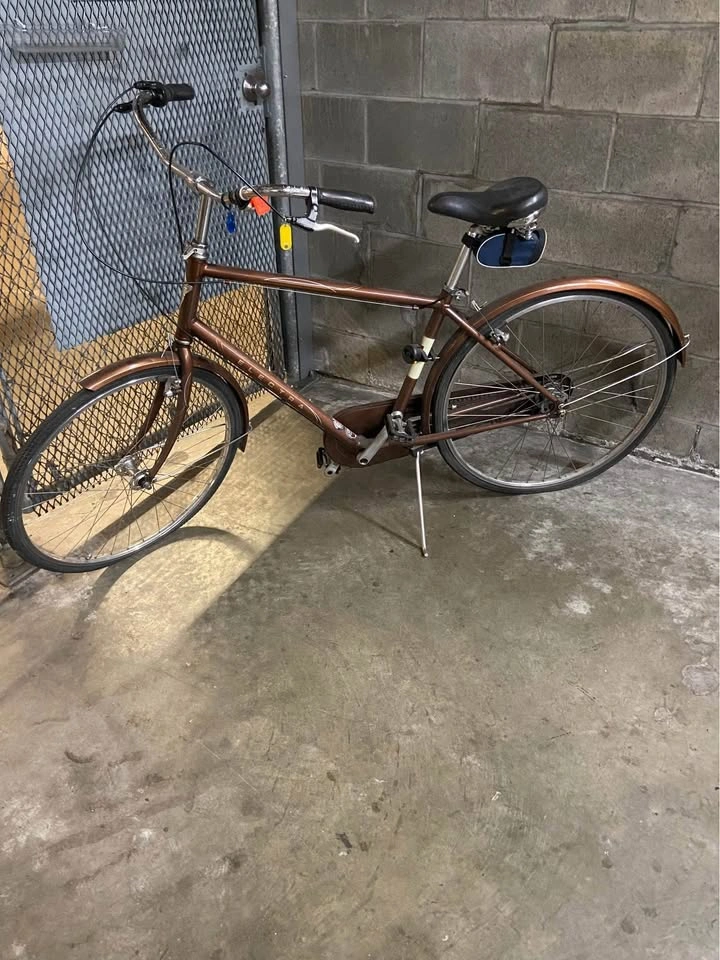 Electra Townie "Amsterdam" Cruiser Bike