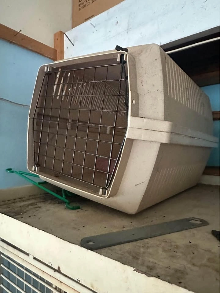 Large Dog Crate - photo 2