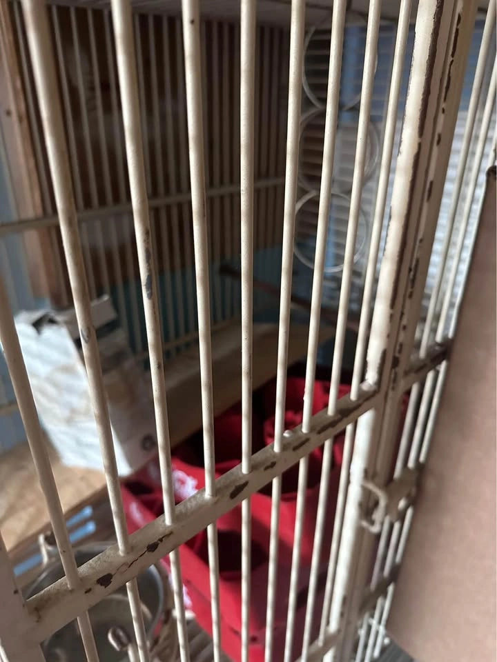 Large Dog Crate - photo 3