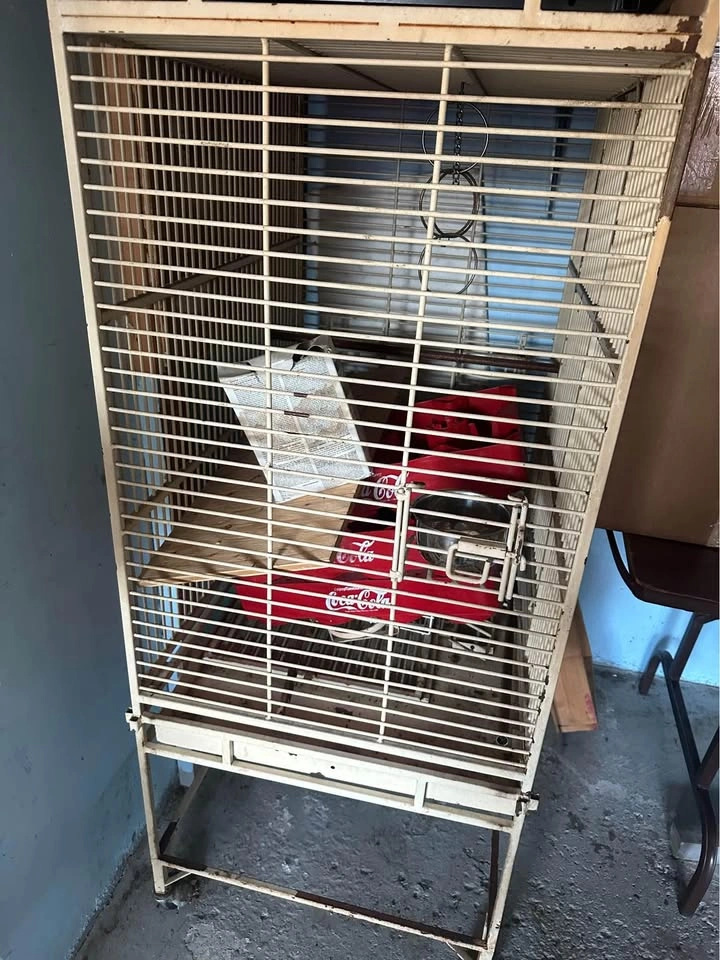 Large Dog Crate - photo 4