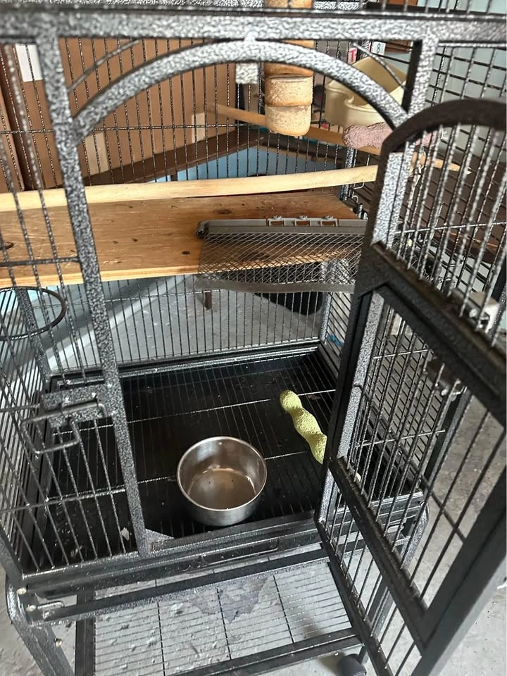 Large Dog Crate - photo 5