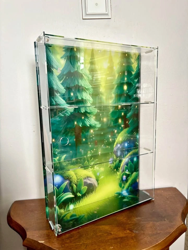 Acrylic Display Case for Figures, Blind Boxes etc.