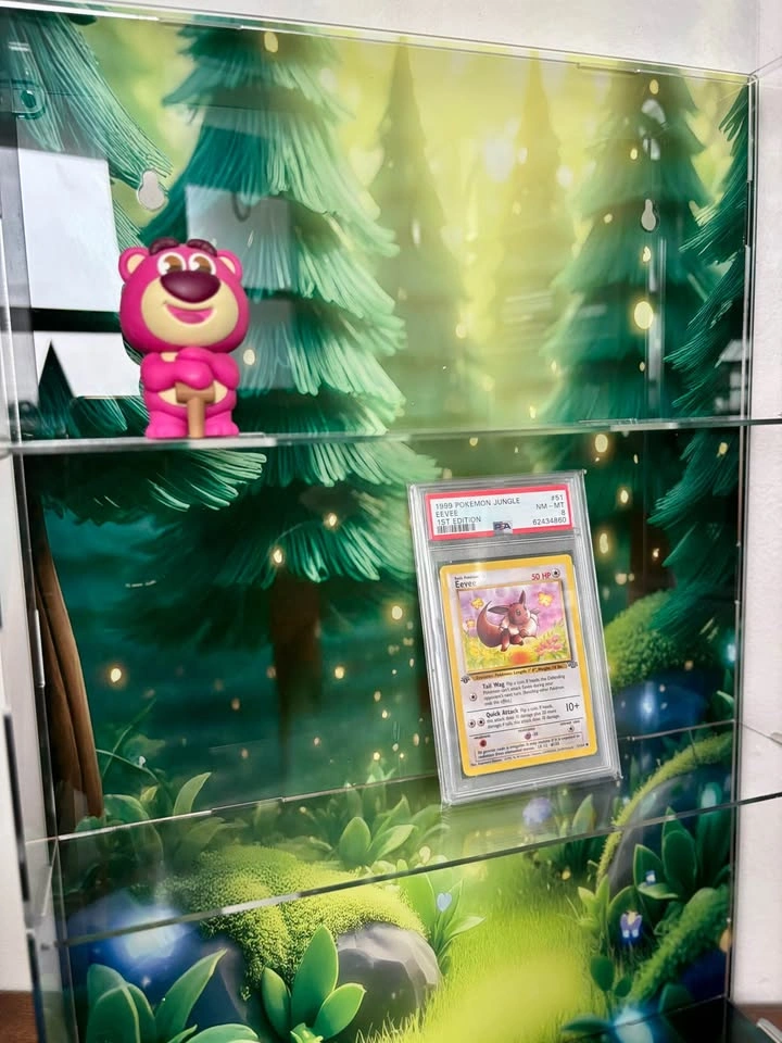 Acrylic Display Case for Figures, Blind Boxes etc. - photo 5