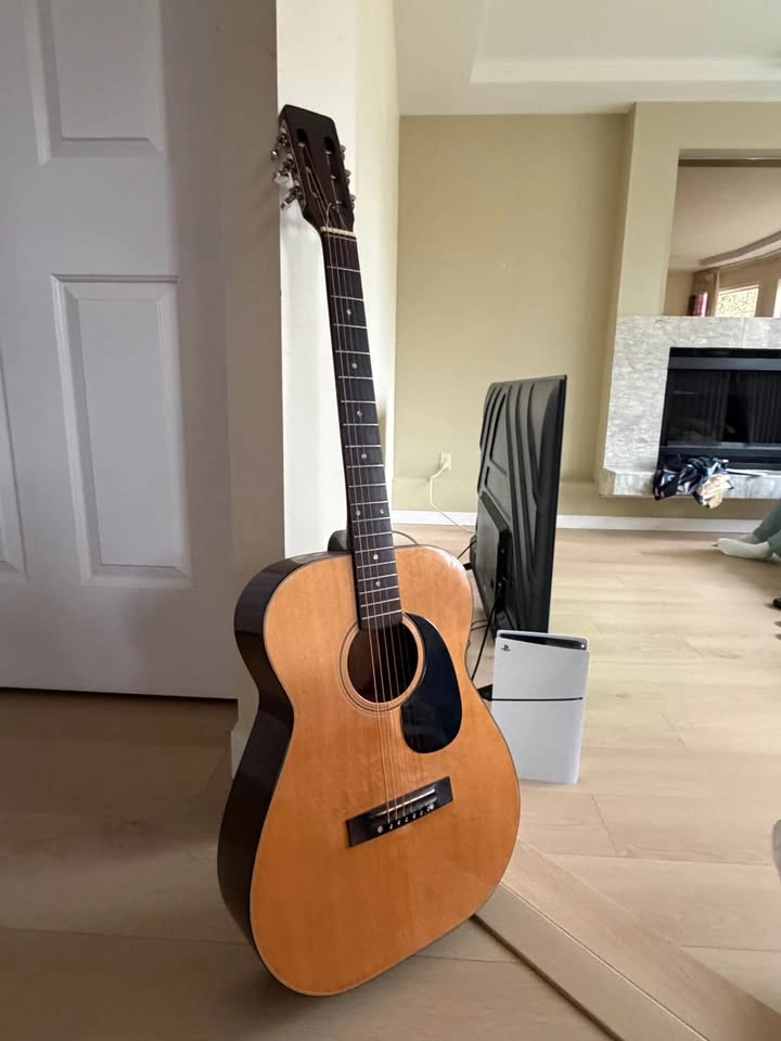 Guitar – Solid Starter/Ready to Play - photo 4