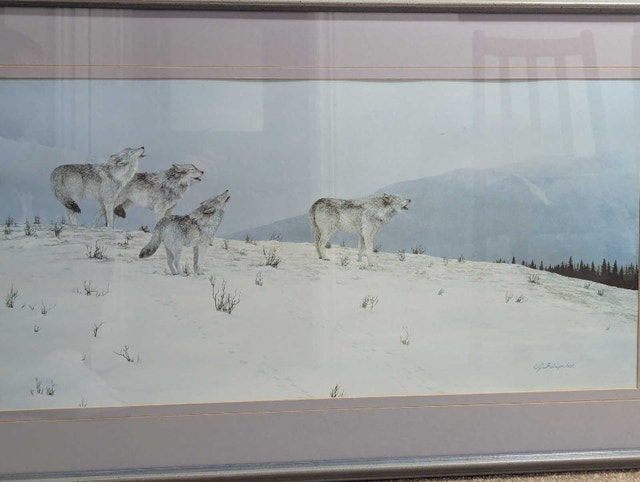 J. Filipchuk Wolf Pack Framed Print