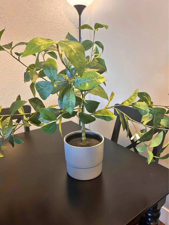 NYPON Gray Plant Pot + IKEA FEJKA Artificial Plant