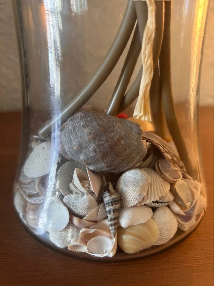 Decorative Glass Vase Arrangement with Flowers & Seashells - photo 3