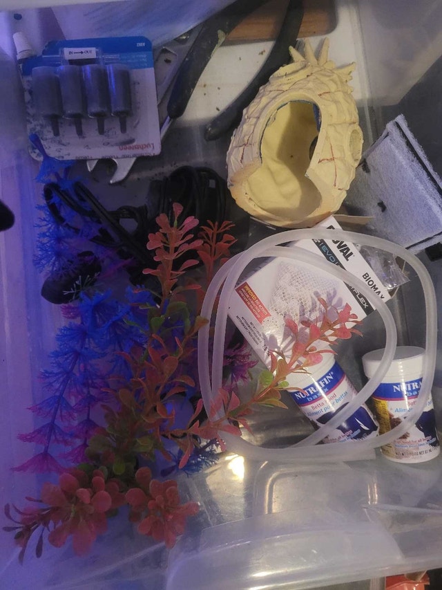 Small aquarium set up!