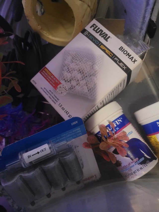 Small aquarium set up! - photo 3