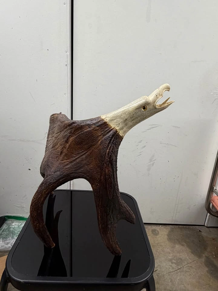 Hand Carved Antler Sculpture – Eagle Head / Wildlife Art - photo 3