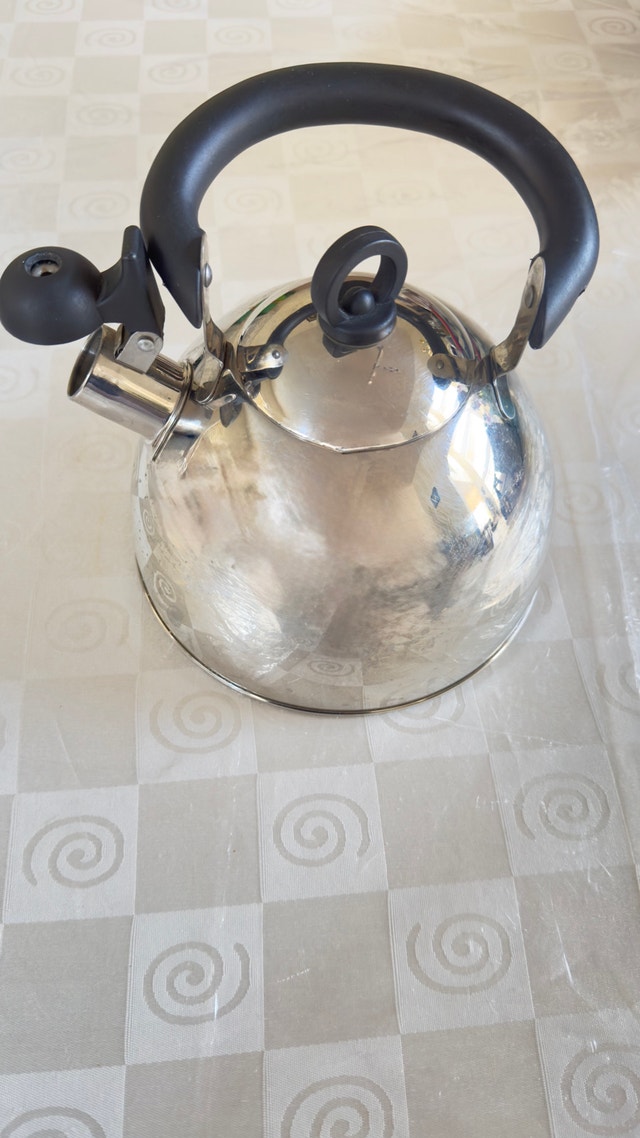 Kettle with whistle stainless steel