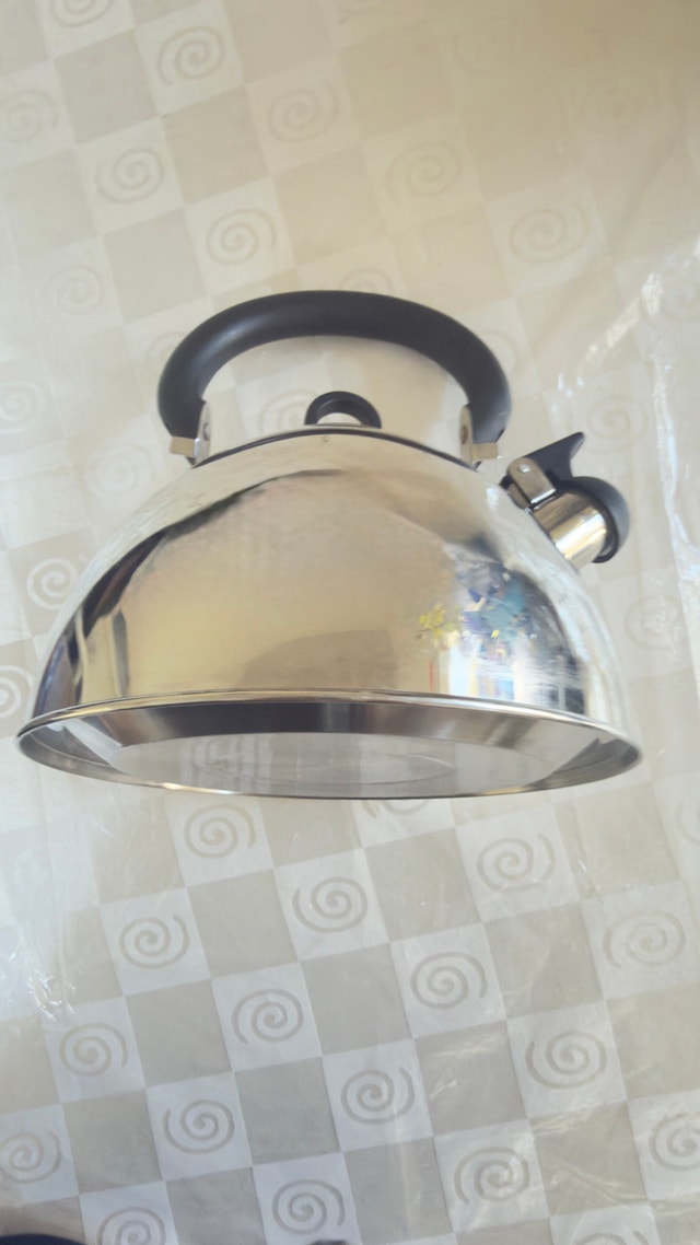 Kettle with whistle stainless steel - photo 3