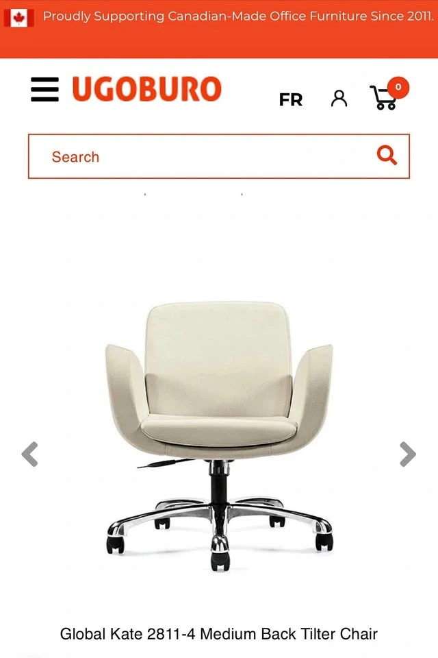 LIQUIDATION SALE - BRAND NEW CHAIR