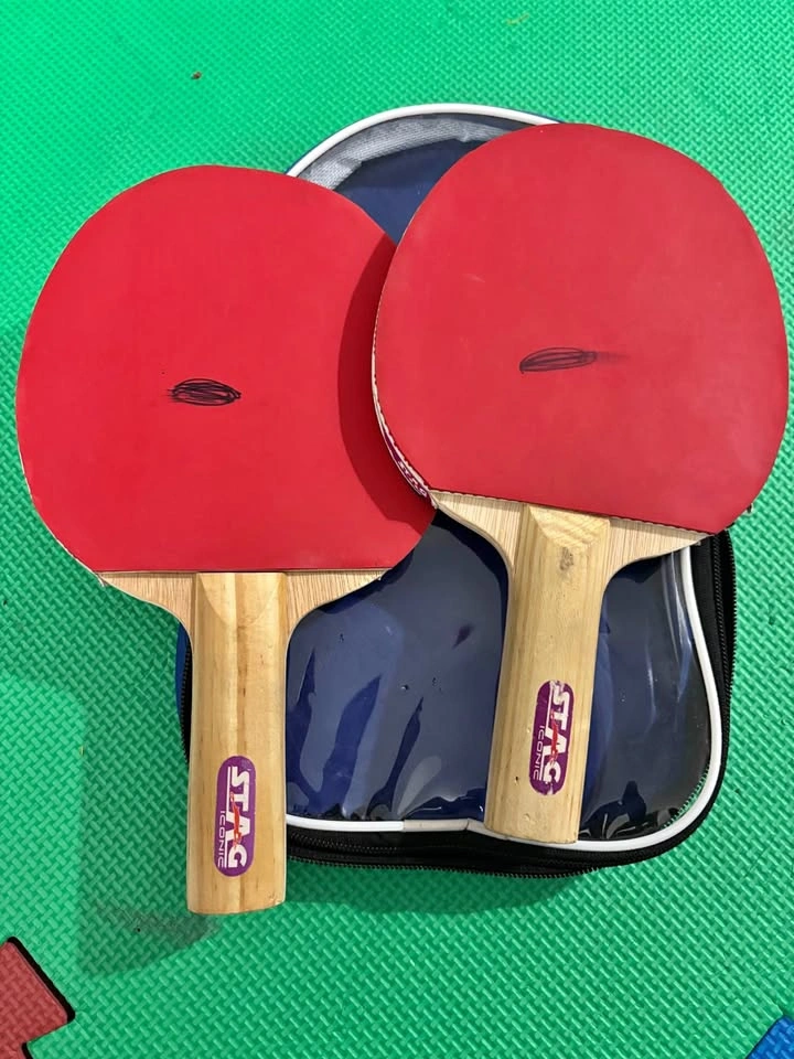 Stag TT bats