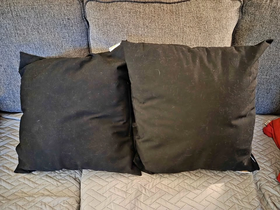 2 Black Throw Pillows