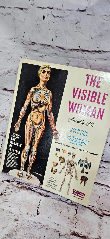 Vintage Visible Woman Assembly Kit (2 avail)