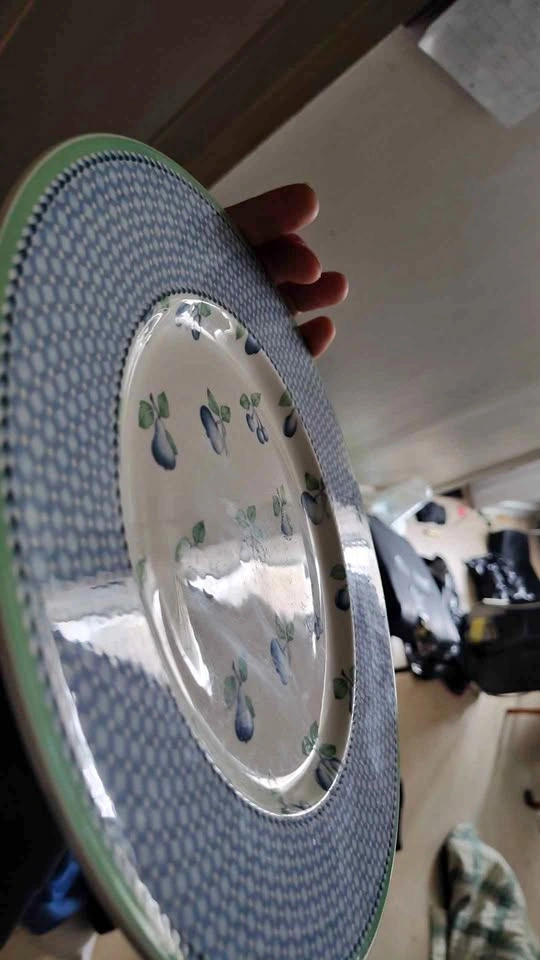 Set of 6 Villeroy & Boch "Provence" Dinner Plates