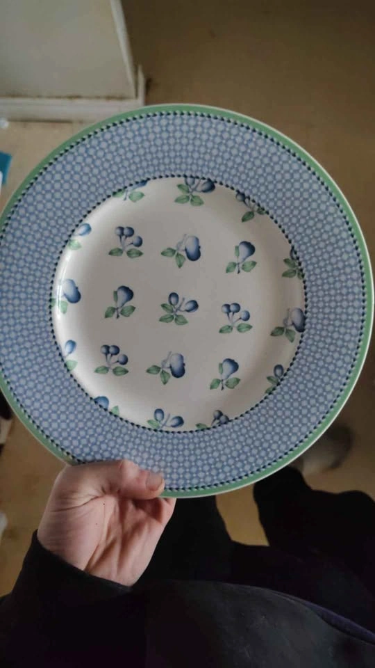 Set of 6 Villeroy & Boch "Provence" Dinner Plates - photo 3