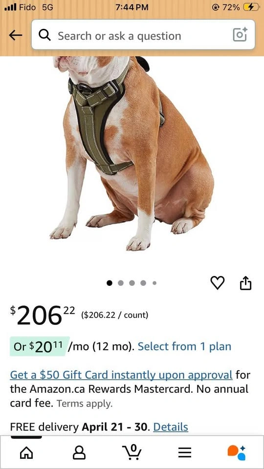 Medium KONG Max Ultra Durable Neoprene Padded Dog Harness - photo 5