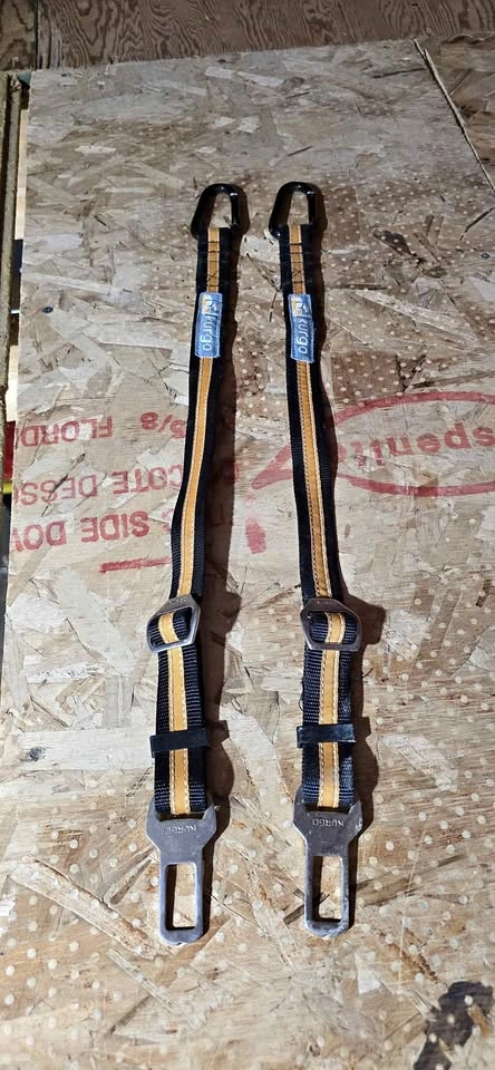 Dog seat belts