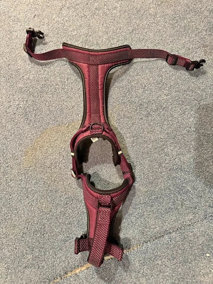 Large Dog Harness