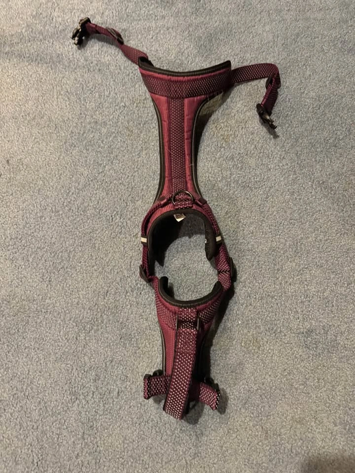 Large Dog Harness - photo 2