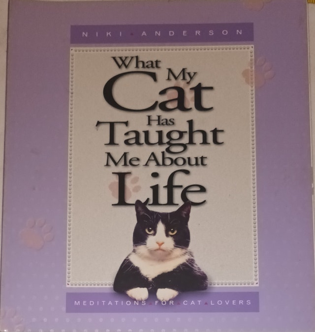 What My Cat Has Taught Me About Life Paperback Book by Niki Ande