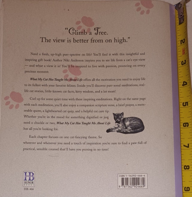 What My Cat Has Taught Me About Life Paperback Book by Niki Ande - photo 2