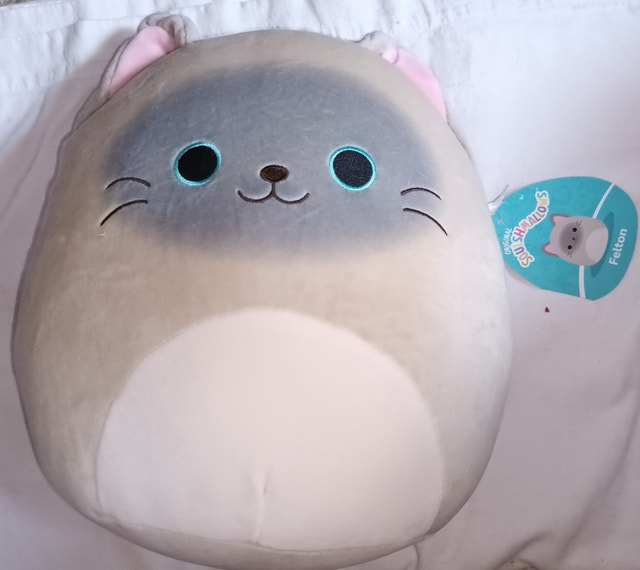 NEW Squishmallow 10" Felton Siamese Cat Plush Toy - photo 5